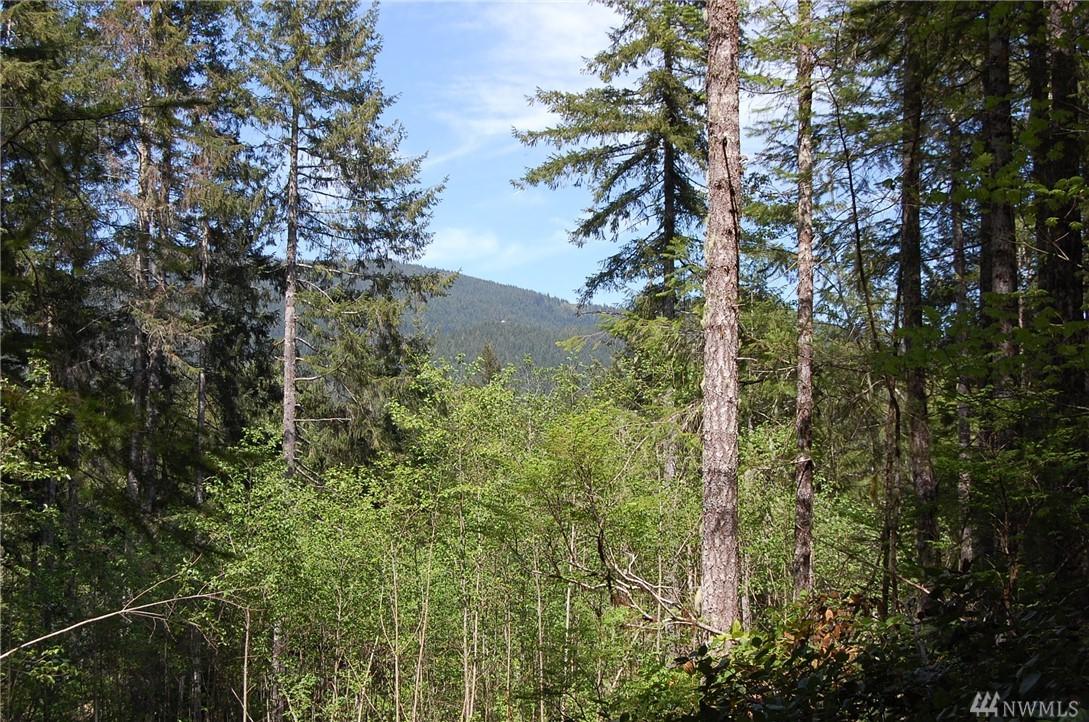 31 Wood Duck Ct - Photo 1