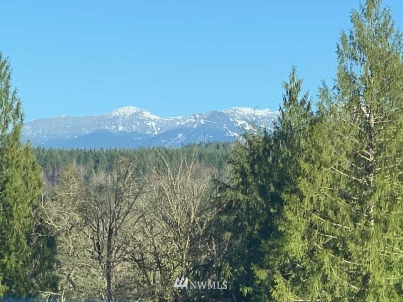 4625 Tolt River Road - Photo 1