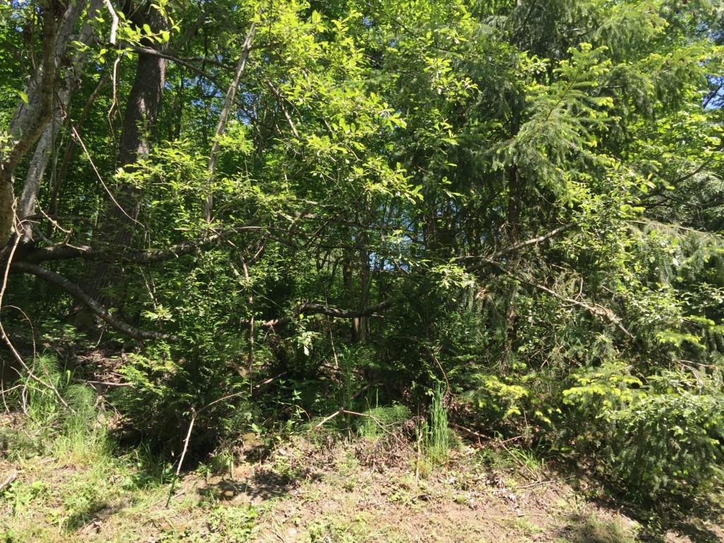 4907 83rd Ave - Photo 1