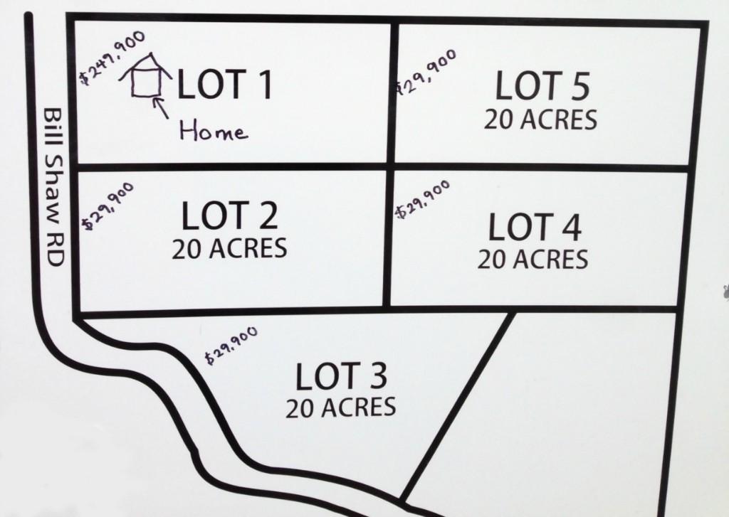 0-Lot 4 Bill Shaw Rd - Photo 1