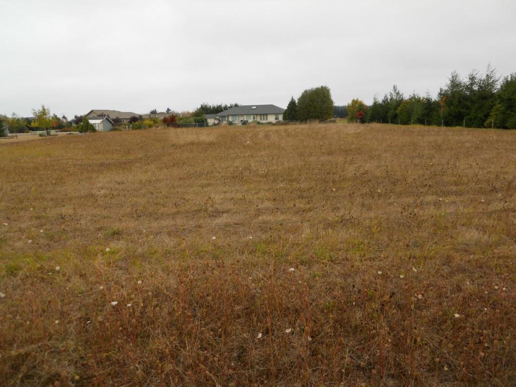 3 Buckhorn Rd - Photo 1