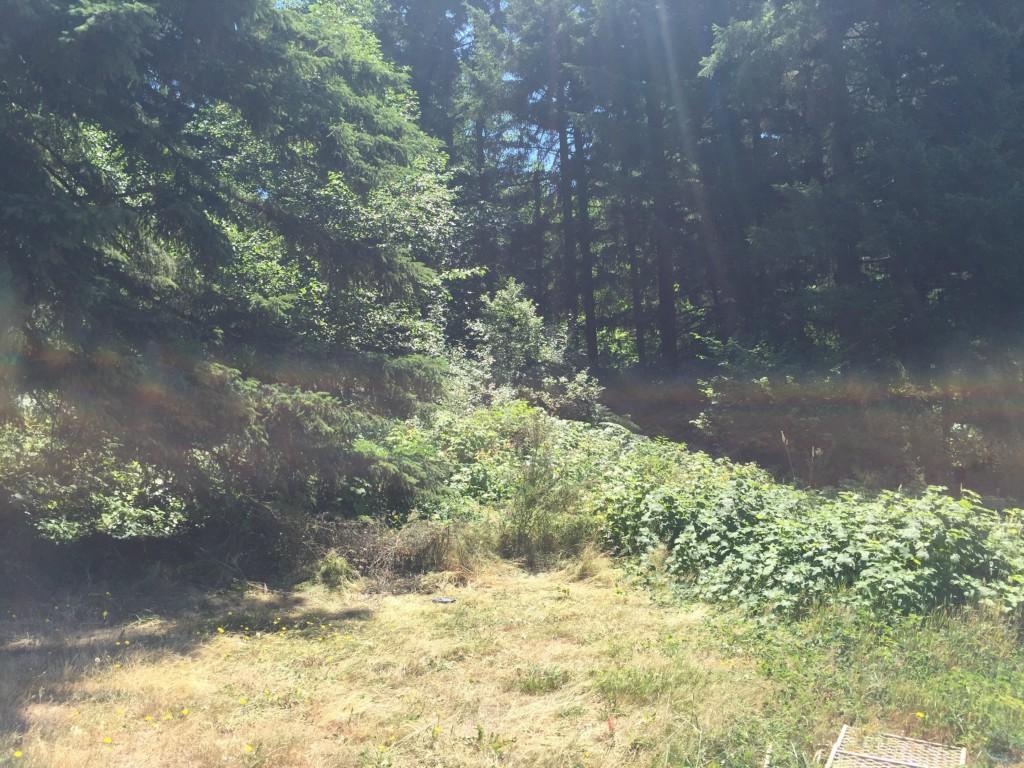 0-xx 74th Ave - Photo 1