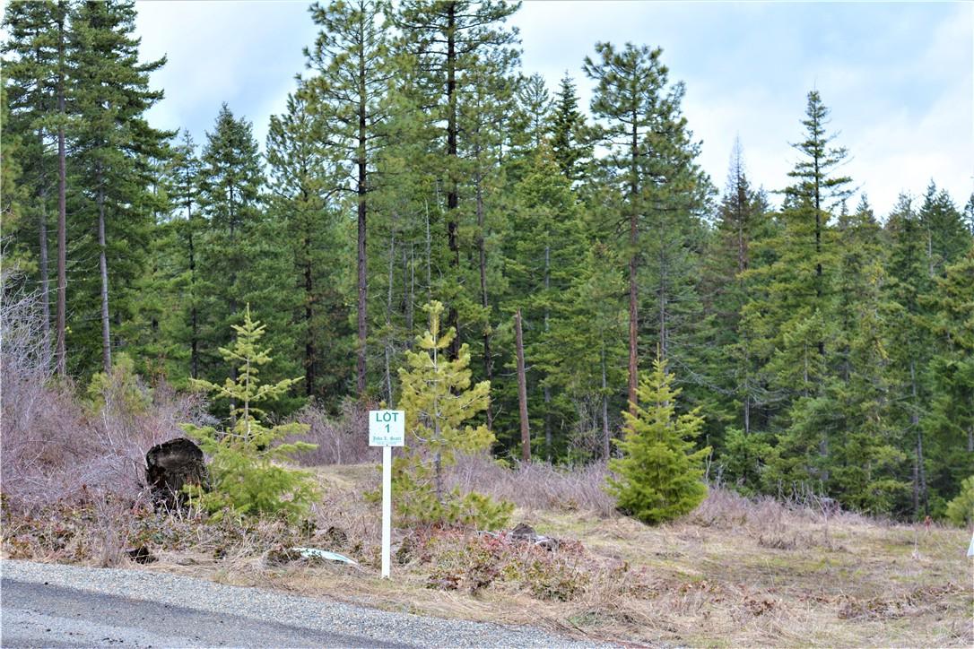 0-Lot 1 Mahonia Dr - Photo 1
