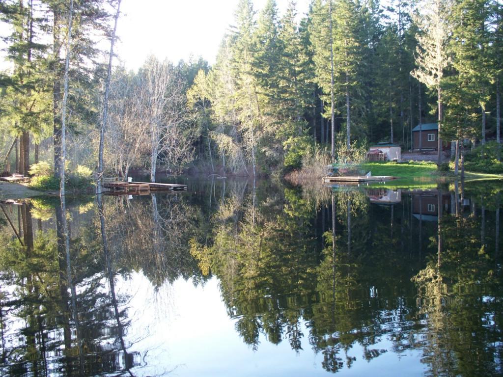 1181 Collins Lake Dr - Photo 1