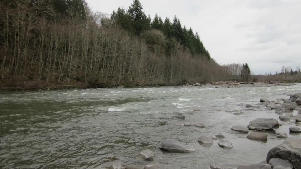 0-XXX Cox Rd - Photo 1