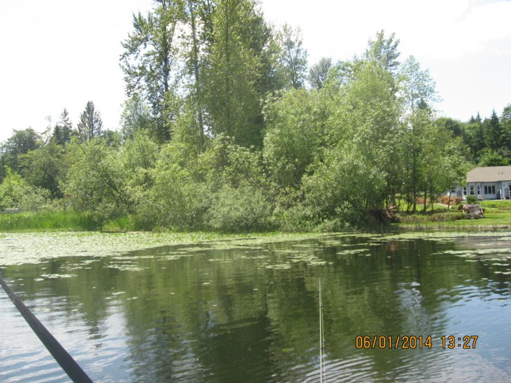 17248 Petrovitsky Road - Photo 1