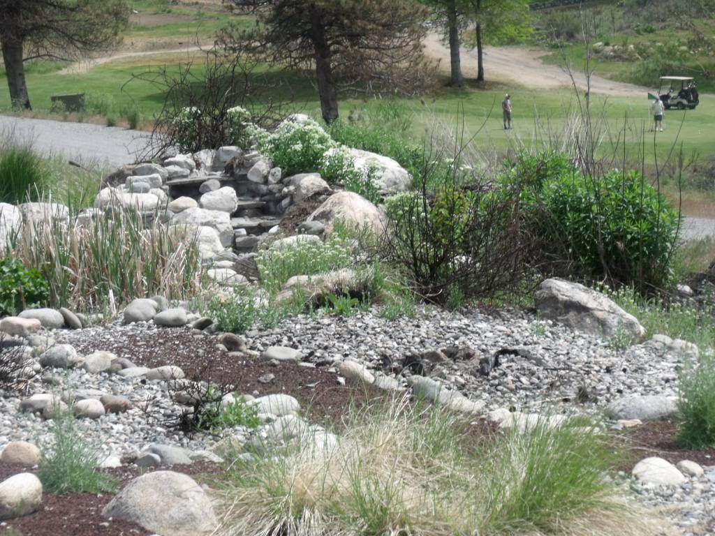 13 Golf Place - Photo 1