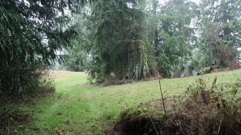 0-Lot 6 Hwy 112 - Photo 1
