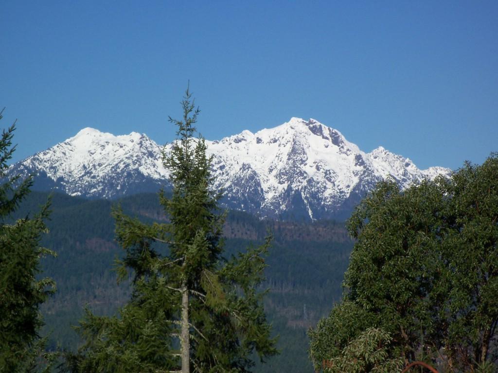 931 Aquila Ridge Rd - Photo 1