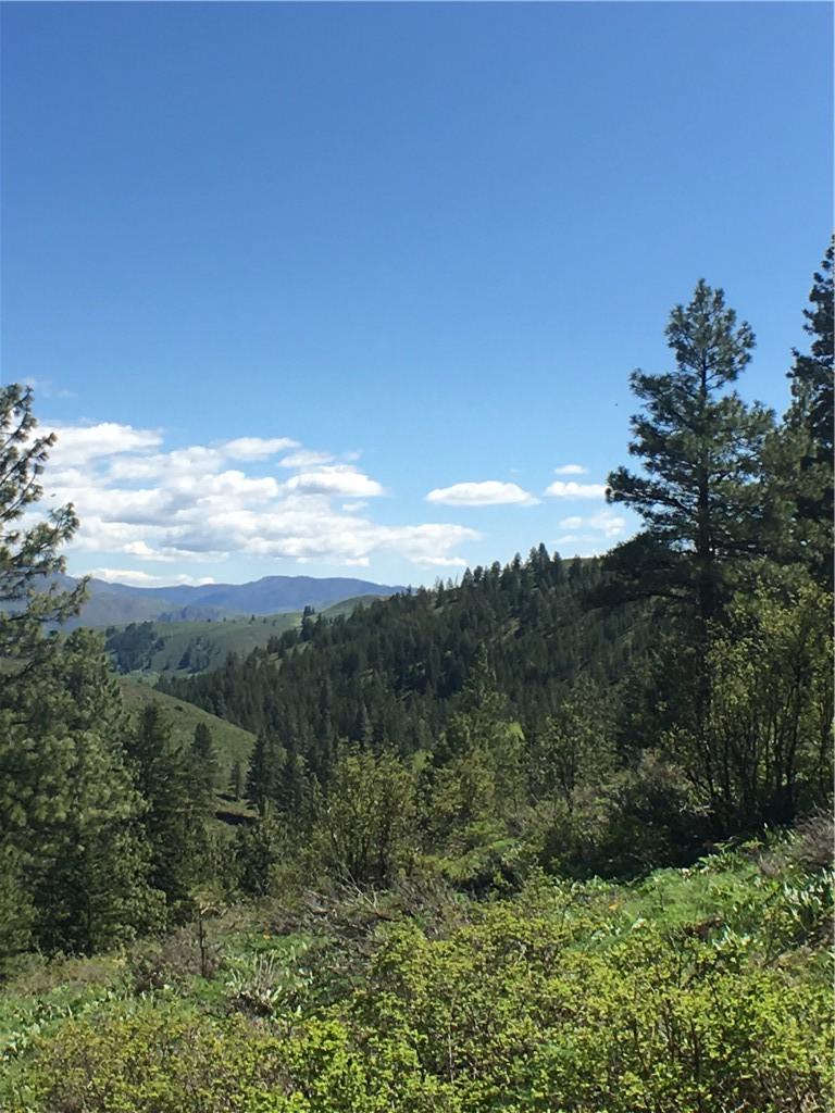 0-Lot #11 Whitebark Lane - Photo 1