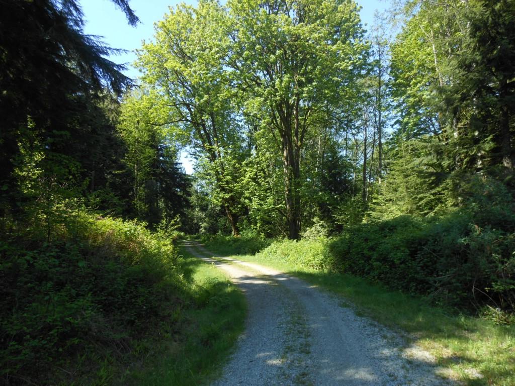 0-NHN Prevedal Rd - Photo 1