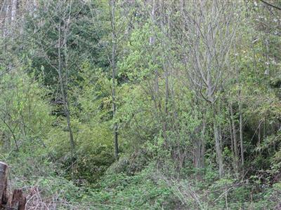 49-Lot Kingston - Photo 1