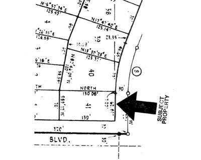 800 Wood Lane - Photo 1