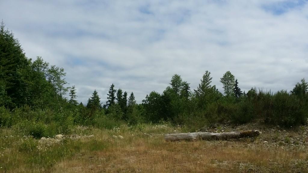 144-XX 155th Ct Se - Photo 1