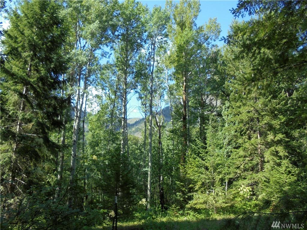 0-Lot 27 Cedarosa - Lost River Rd - Photo 1