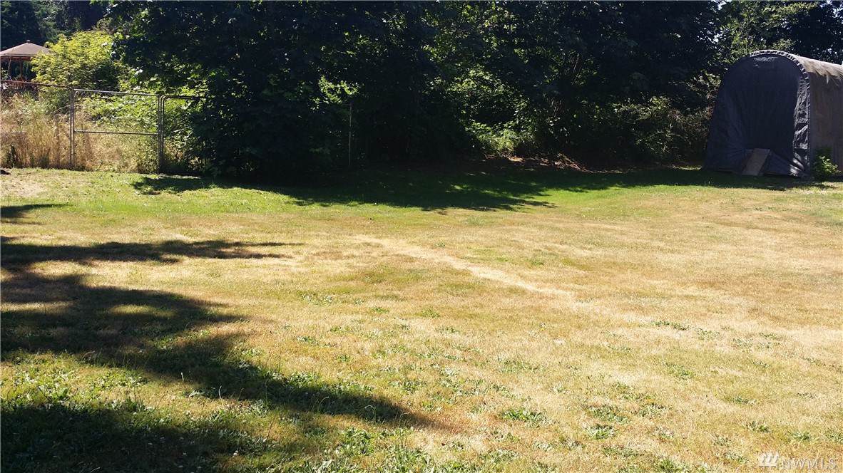 26241 Military Rd - Photo 1