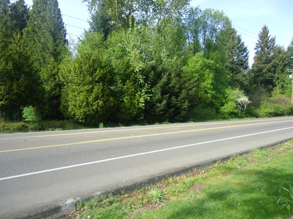 31241 Dash Pt Rd - Photo 1