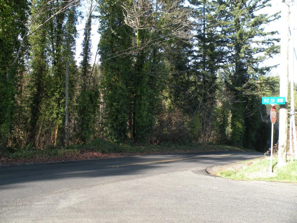 0 82nd Ave - Photo 1