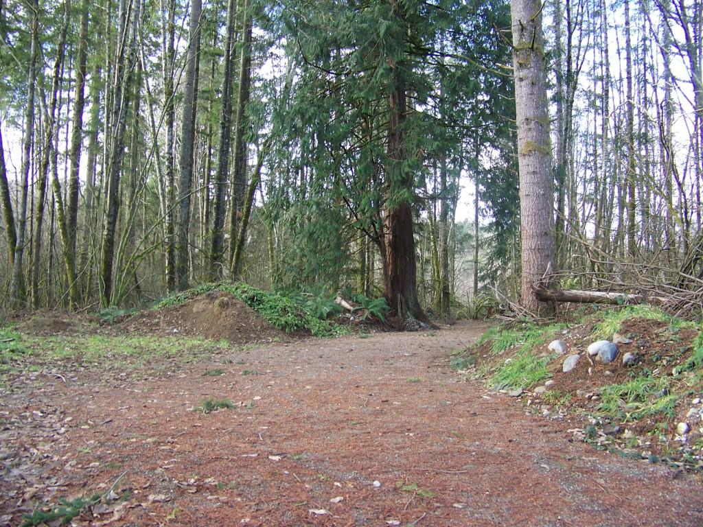 30210 State Route 9 - Photo 1