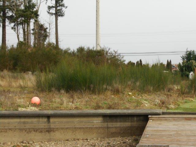 2610 214th Ave - Photo 1