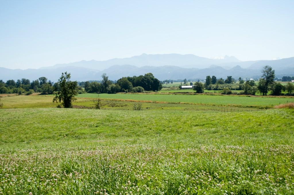0 Swanson Rd - Photo 1