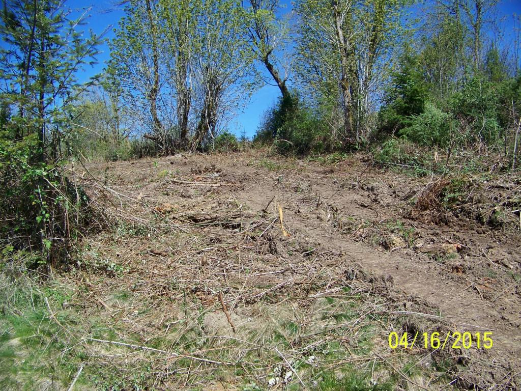 0-Lot 1 Seroshek Lane - Photo 1