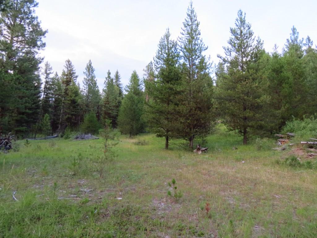 0 Raven Heights Rd - Photo 1
