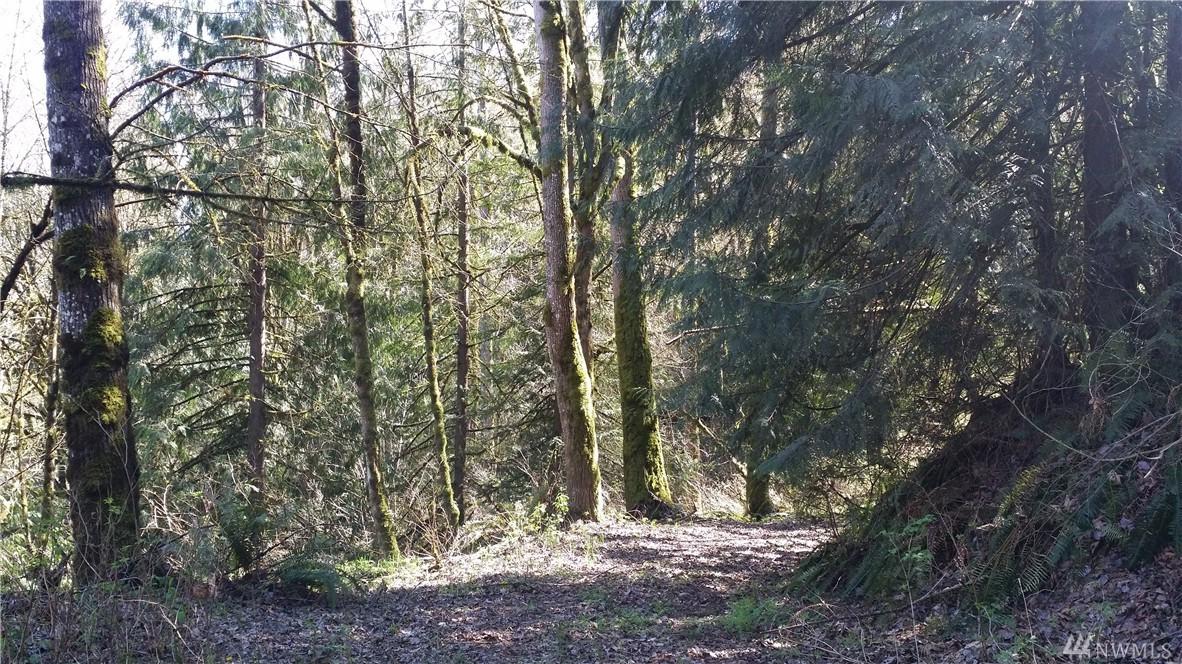10531 Snoqualmie Valley Road Ne - Photo 1