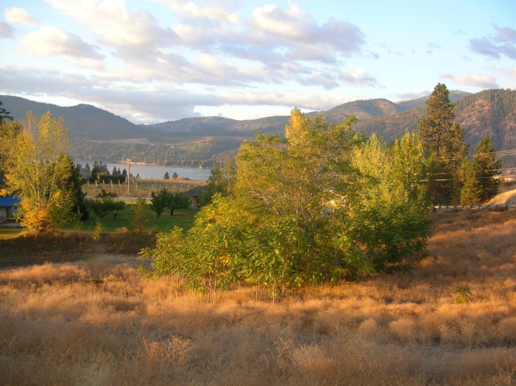 22 Capri Rd - Photo 1