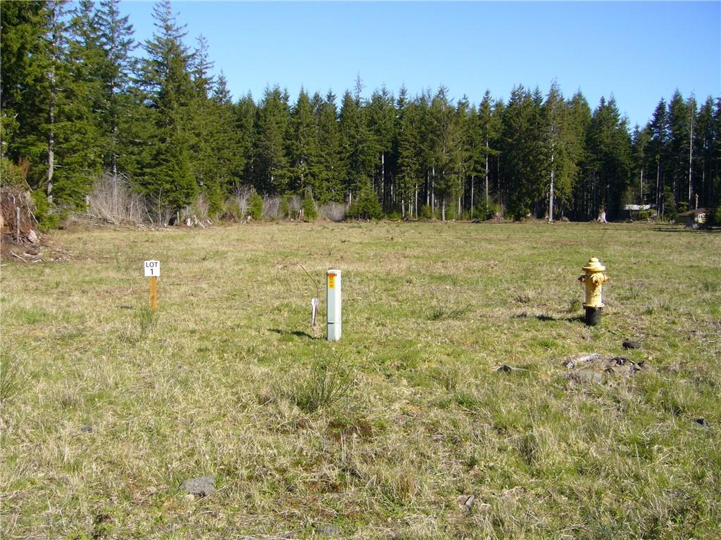 1 Sawyer Wy - Photo 1
