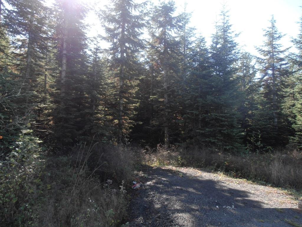 1206 Koontz Rd - Photo 1