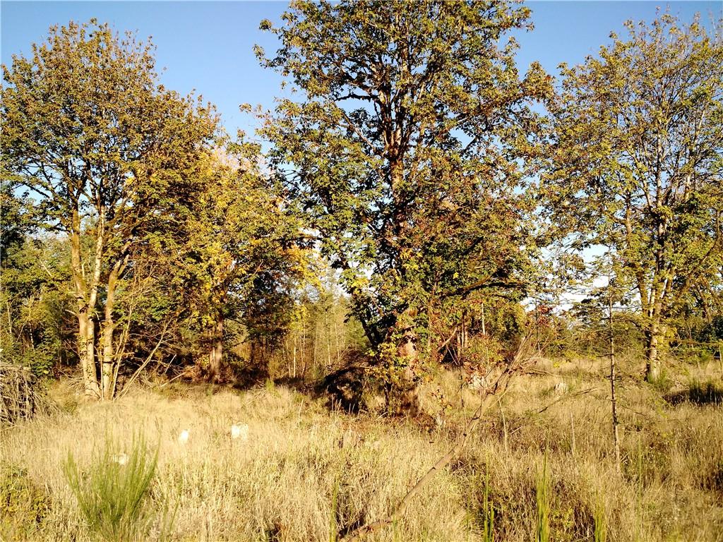 0-Off Hart Rd - Photo 1