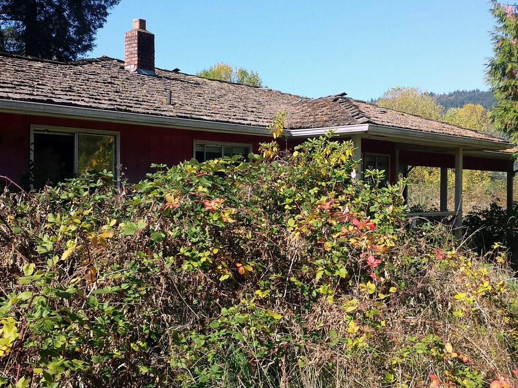 13134 Highway 12 - Photo 1