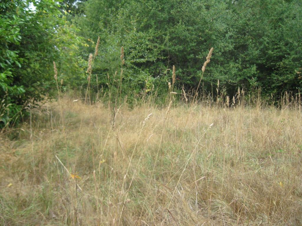 513 7th Ave - Photo 1