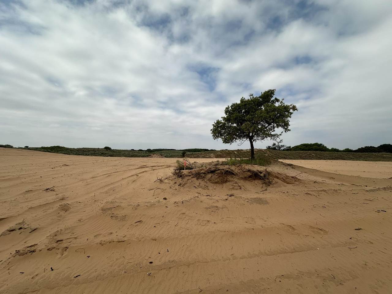 Lot 8 Maverick Rd - Photo 1