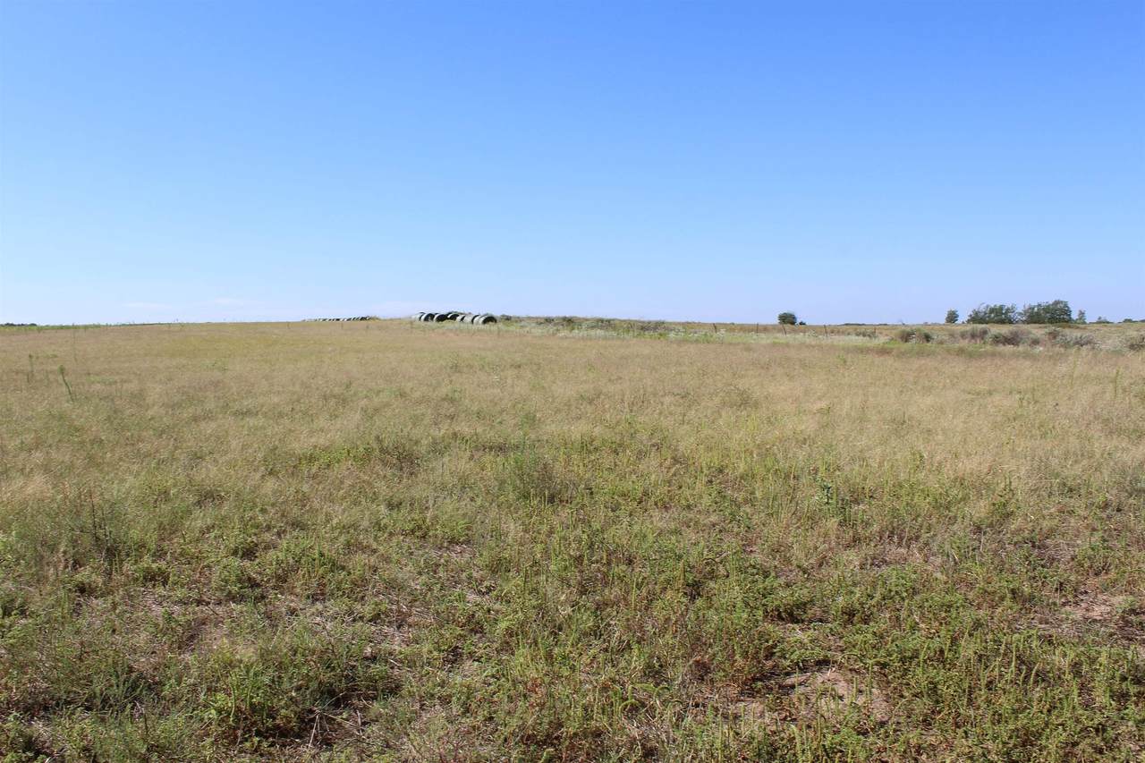  County Road 48 - Photo 1