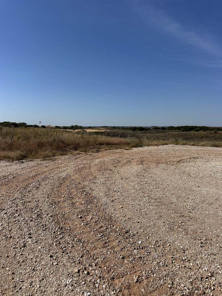 24 Razorback - Photo 1