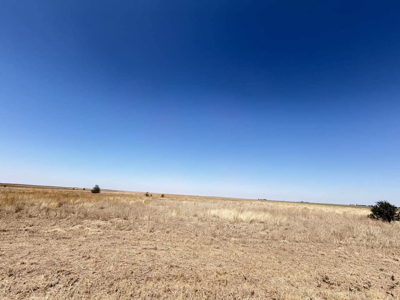 https://bt-photos.global.ssl.fastly.net/nwok/1280_boomver_1_20260553-2.jpg