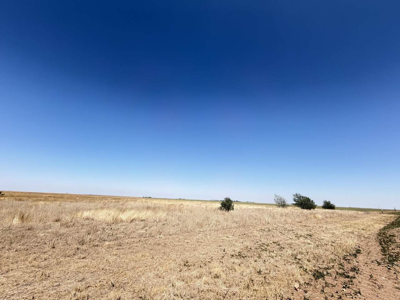 https://bt-photos.global.ssl.fastly.net/nwok/1280_boomver_1_20260553-2.jpg
