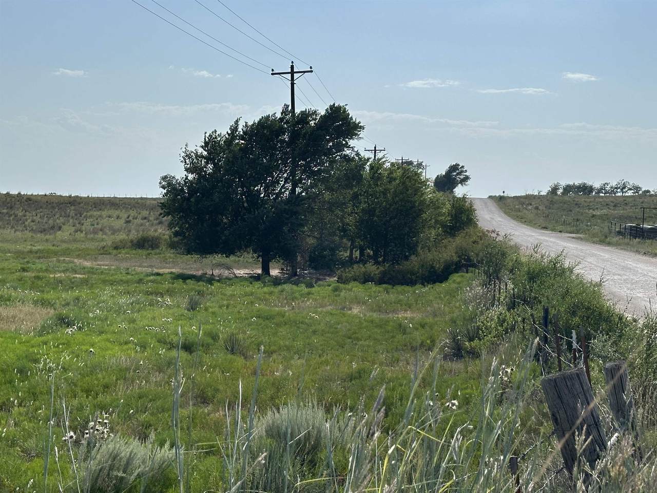  County Road 48 - Photo 1