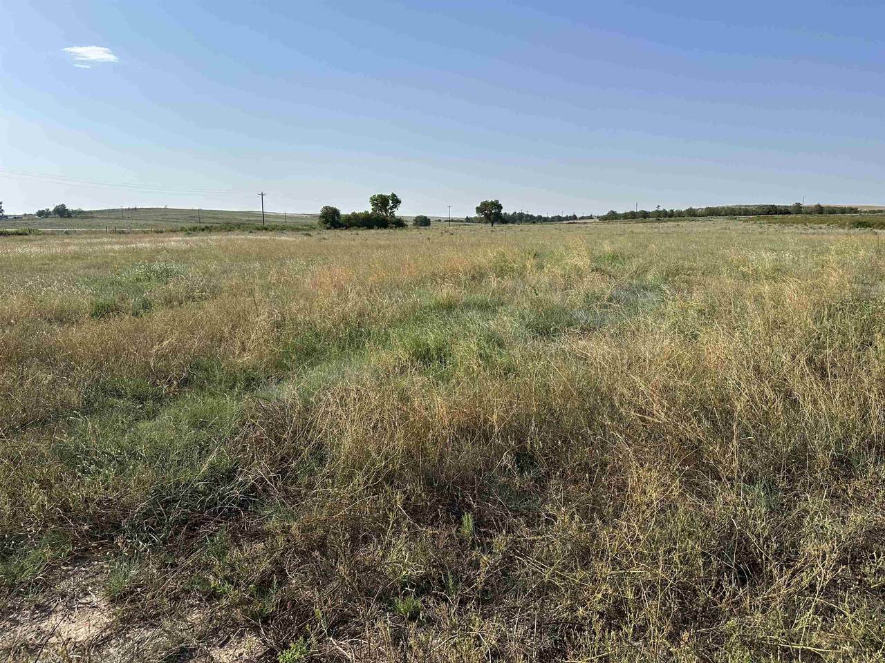  County Road 48 - Photo 1