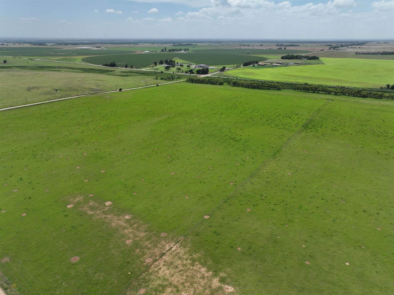 110 -Acres - Photo 1