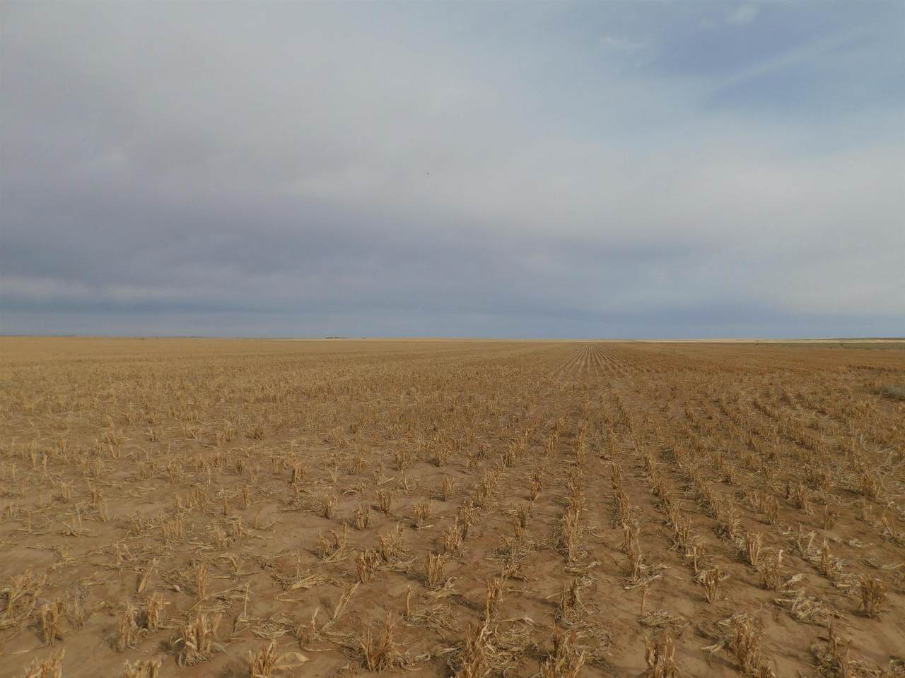 SW 1/4 13-6N-13 Texas County - Photo 1