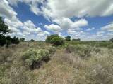 10 acres &Acirc;&plusmn; Sec 24-23-22 Tract 1 - Photo 5