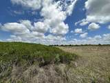 10 acres Â± Sec 24-23-22 Tract 4 - Photo 5