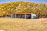 41547 County Rd 258 - Photo 32