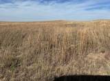  County Road 181 - Photo 4