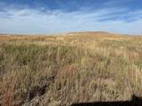 County Road 181 - Photo 5