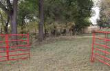 45213 County Road 215 - Photo 14