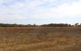 45213 County Road 215 - Photo 15
